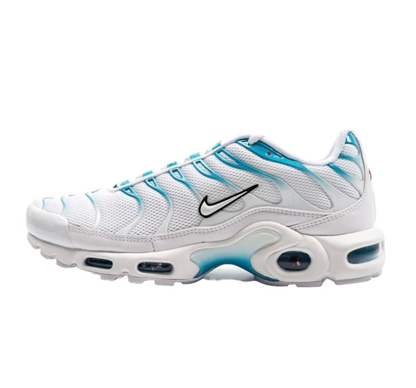 Air Max Plus "BLUE FURY"